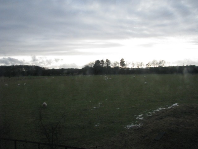 Fields in England