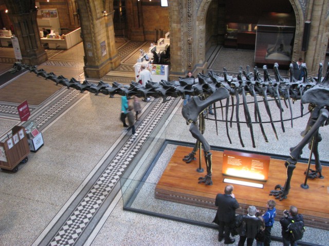 Museu de história natural